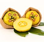 Garcinia cambogia 